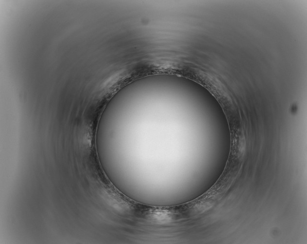 X0000091070710200708131153