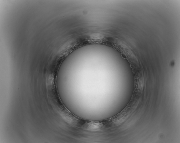 X0000091070711200708131153