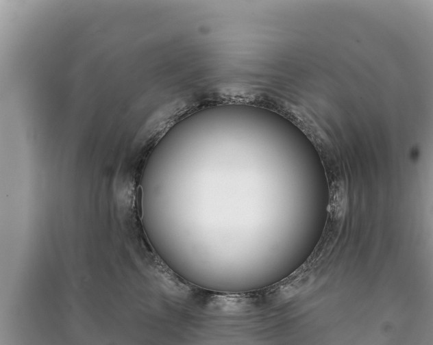 X0000091070713200708131153