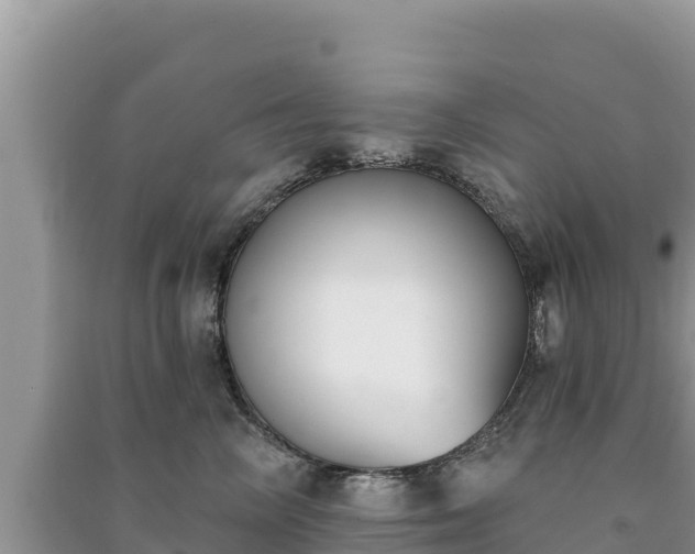 X0000091070714200708131152