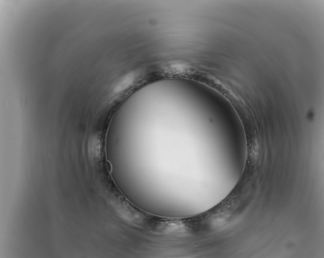 X0000091070715200708131152