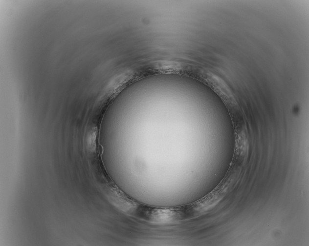 X0000091070717200708131152