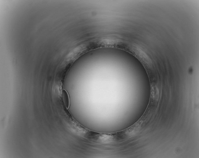 X0000091070718200708131152