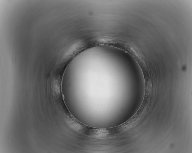 X0000091070719200708131152