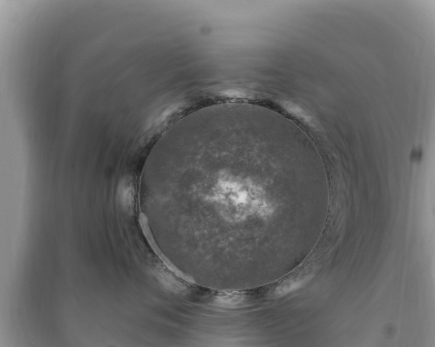 X0000091070720200708131152