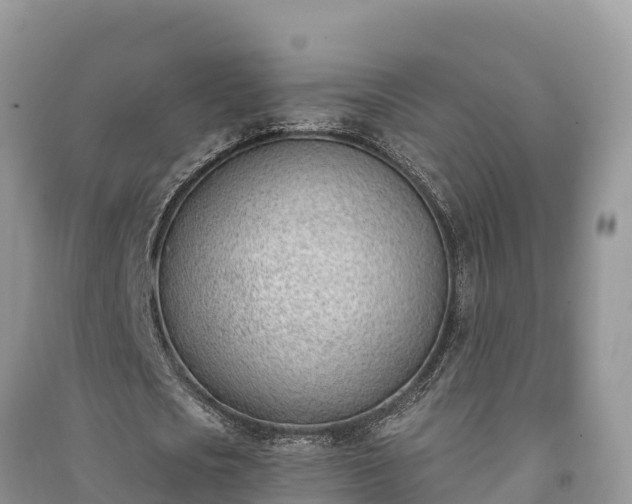 X0000091070721200708131152