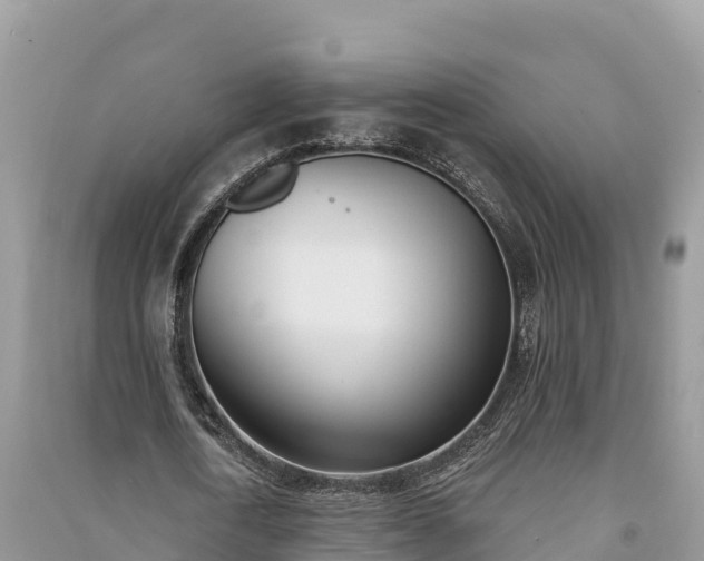 X0000091070722200708131152