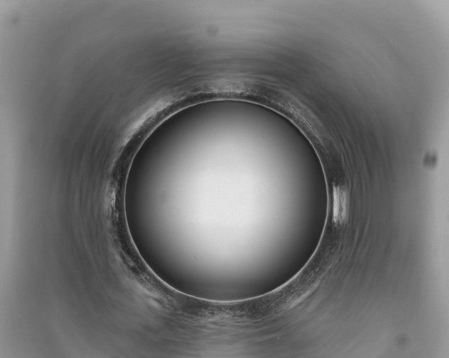 X0000091070723200708131152