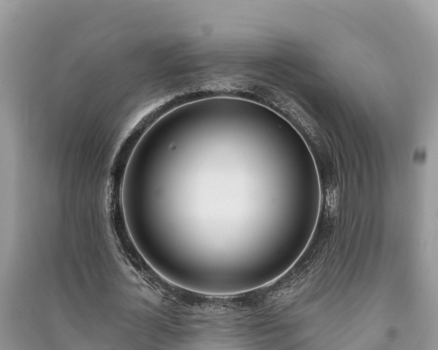X0000091070724200708131152
