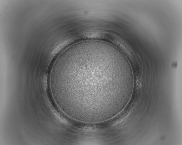 X0000091070725200708131152