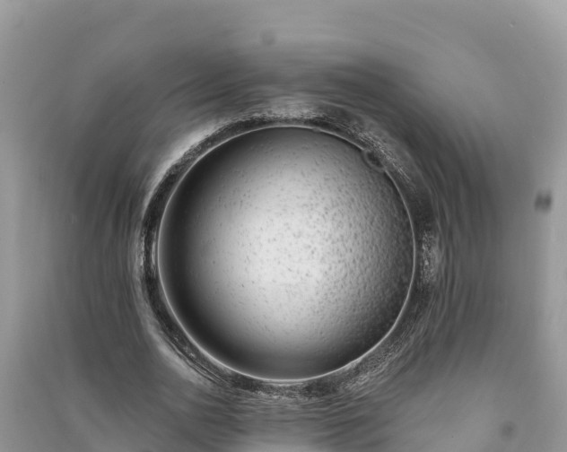 X0000091070726200708131152