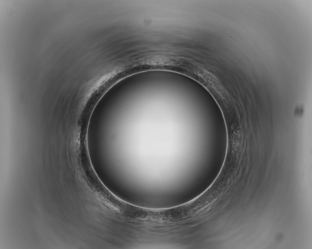 X0000091070727200708131152