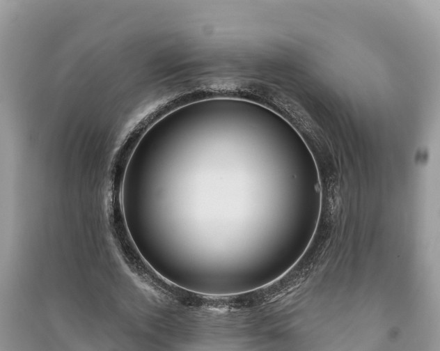 X0000091070728200708131152