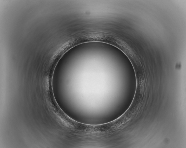 X0000091070729200708131152