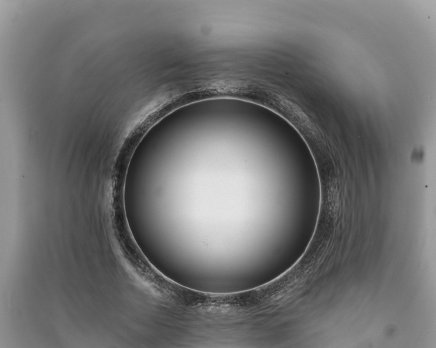 X0000091070730200708131152
