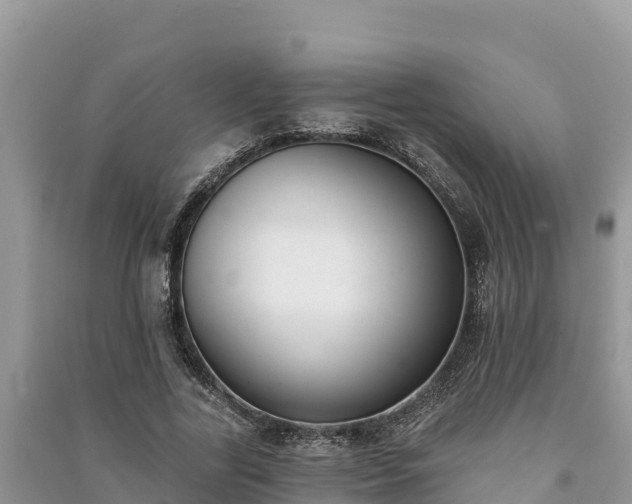X0000091070731200708131152
