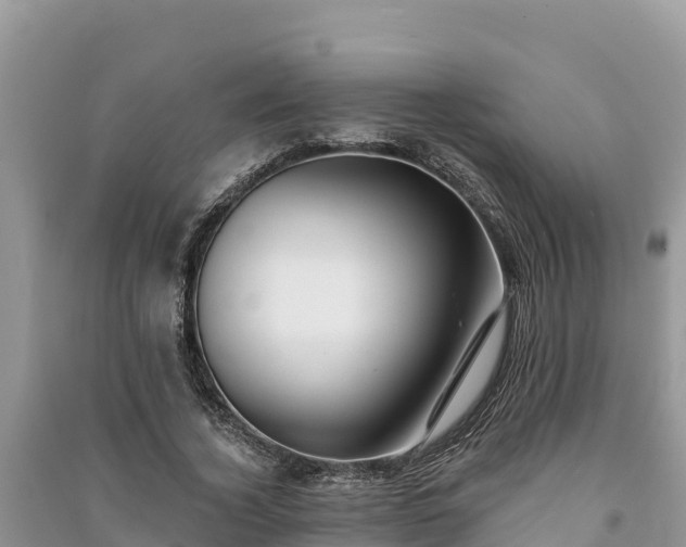X0000091070732200708131152