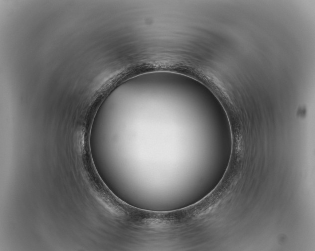 X0000091070733200708131152