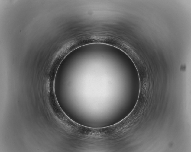 X0000091070734200708131152