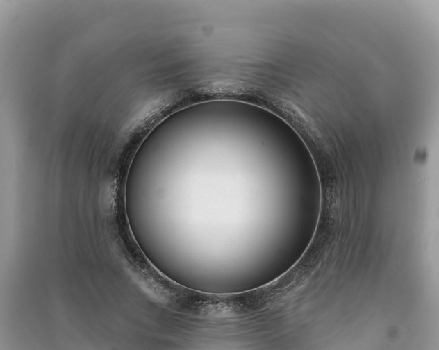 X0000091070735200708131152