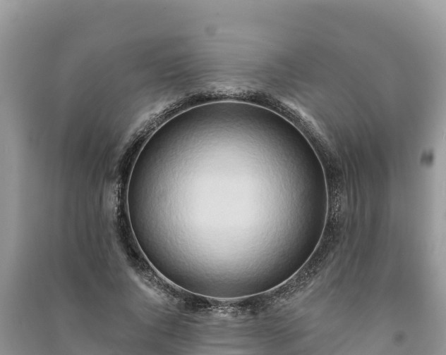 X0000091070736200708131152
