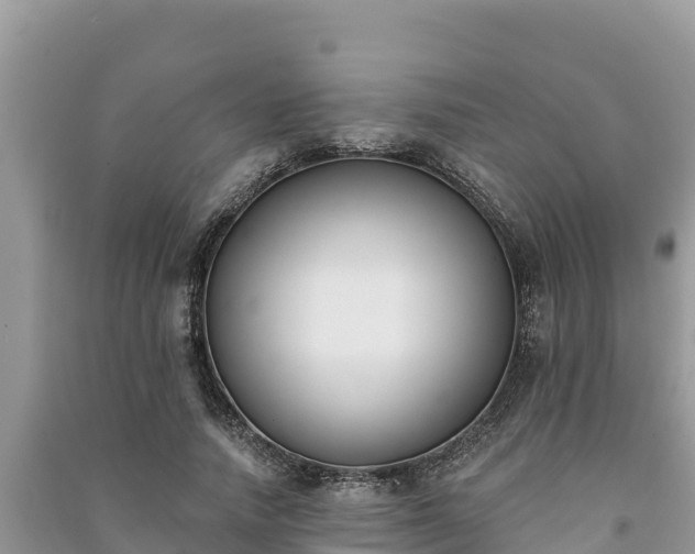 X0000091070738200708131152