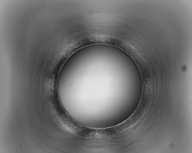 X0000091070739200708131152