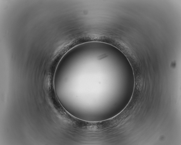 X0000091070740200708131152