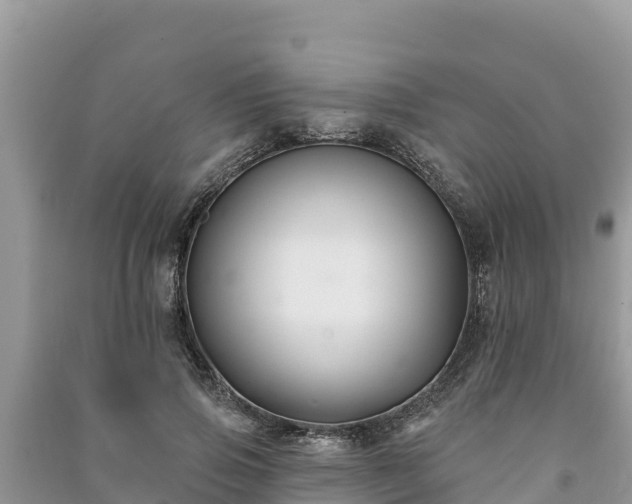 X0000091070741200708131152