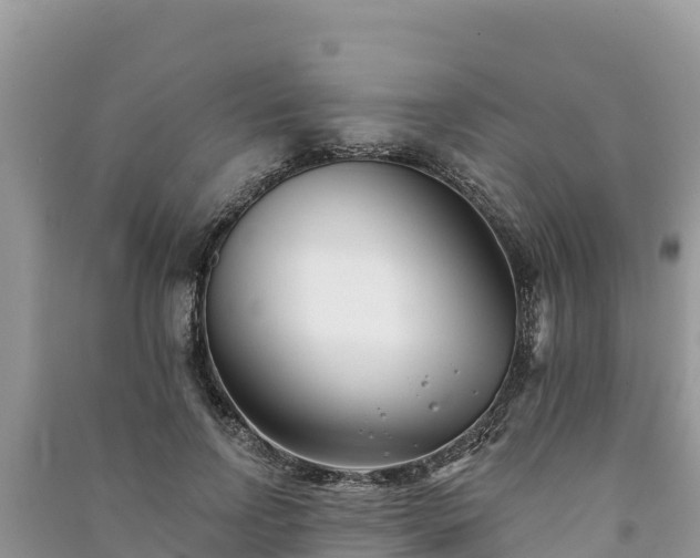 X0000091070742200708131152