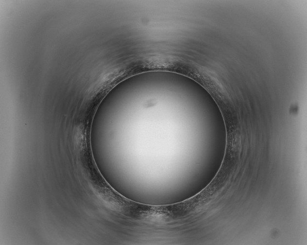 X0000091070743200708131152