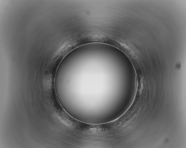 X0000091070744200708131152