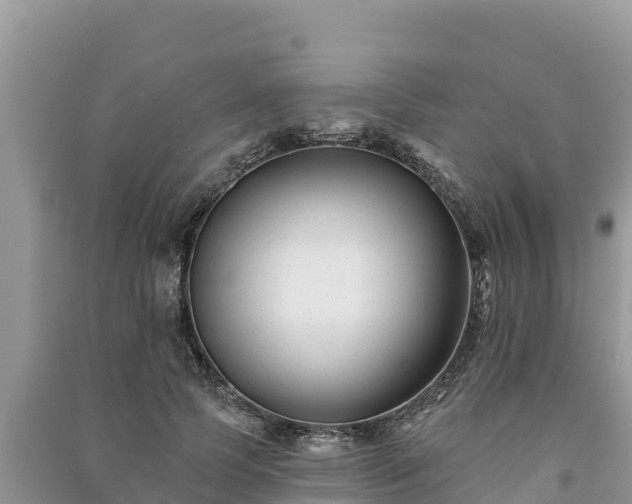 X0000091070745200708131152