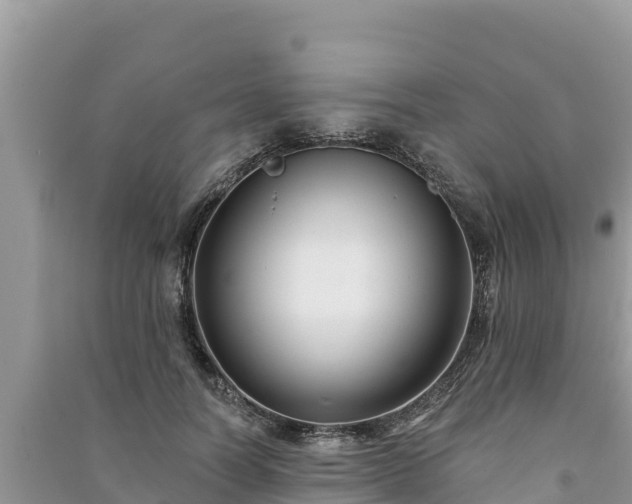 X0000091070746200708131152