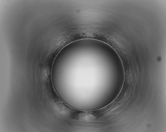 X0000091070747200708131152