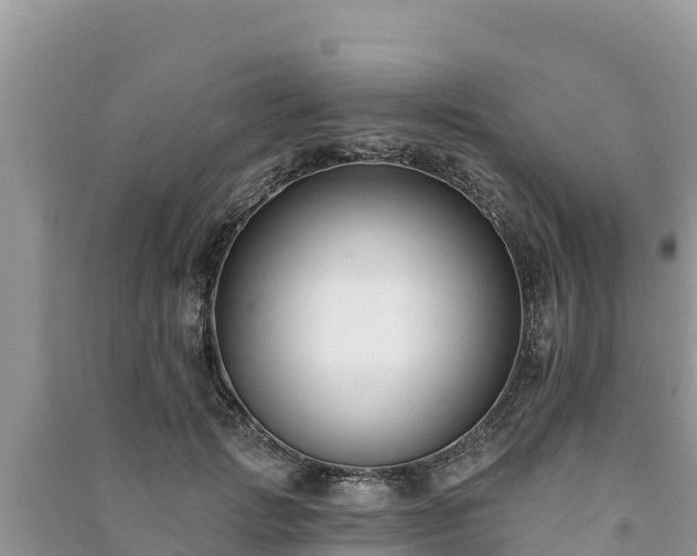 X0000091070749200708131152