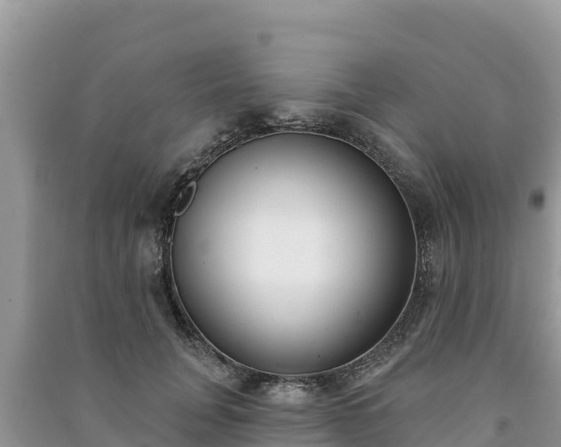 X0000091070751200708131152