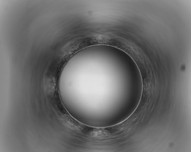 X0000091070752200708131152