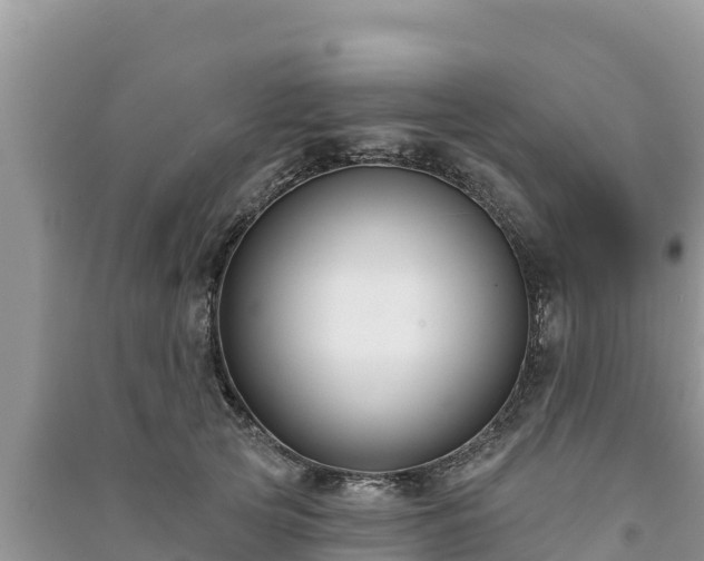 X0000091070753200708131152