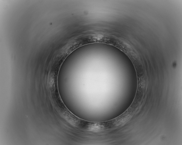 X0000091070754200708131152