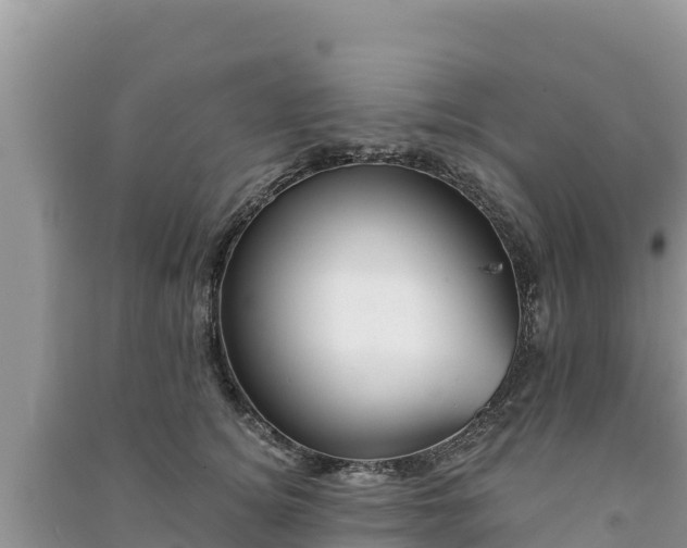 X0000091070756200708131152