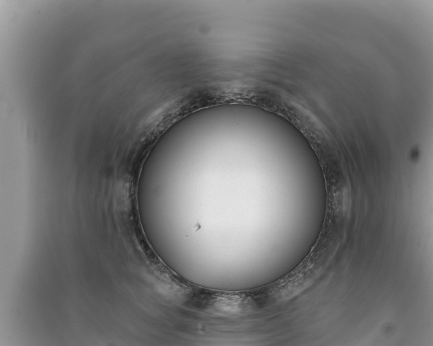 X0000091070757200708131152