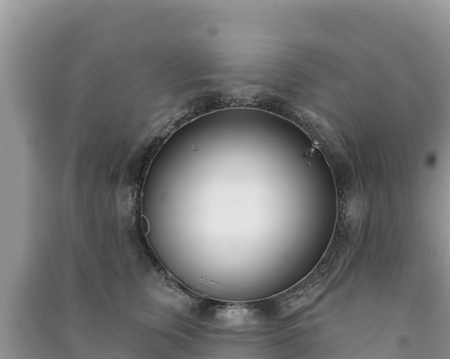 X0000091070759200708131152