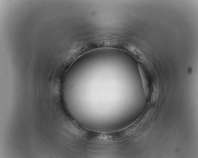 X0000091070760200708131152
