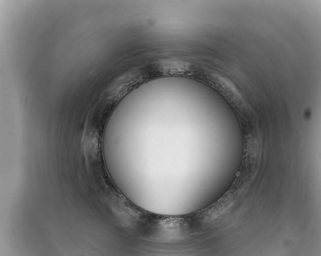 X0000091070761200708131152