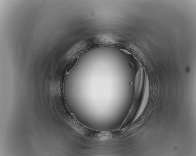X0000091070762200708131152