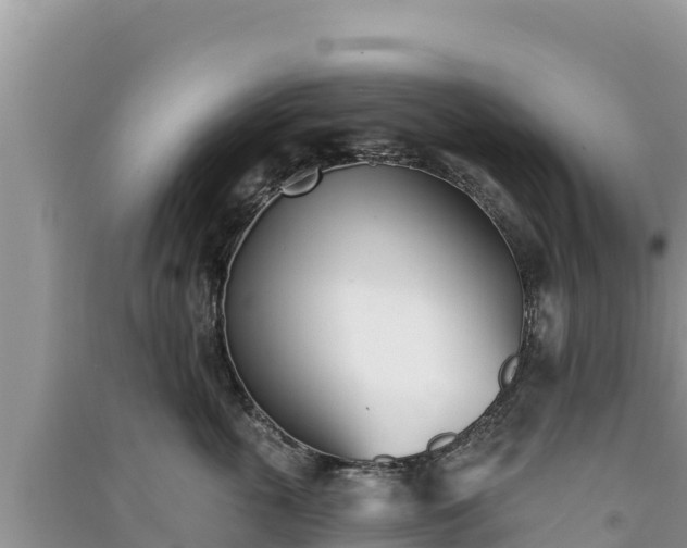 X0000091070763200708131152