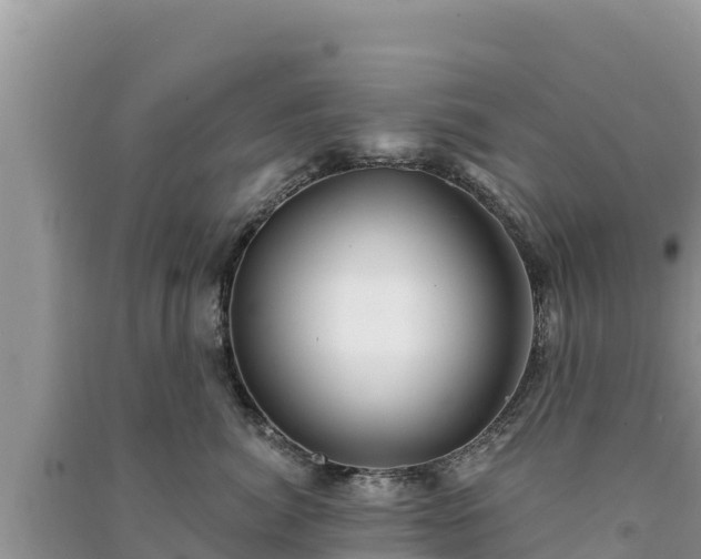 X0000091070764200708131152