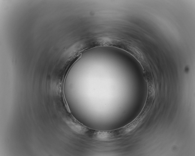 X0000091070766200708131152