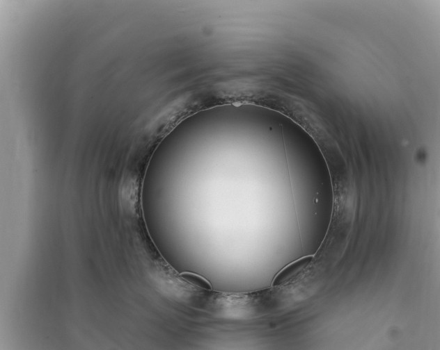X0000091070767200708131152